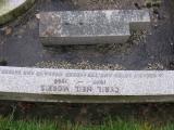 image of grave number 808048